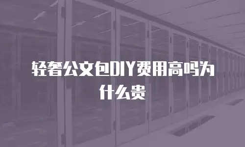 轻奢公文包DIY费用高吗为什么贵