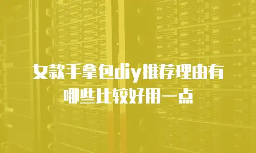女款手拿包diy推荐理由有哪些比较好用一点