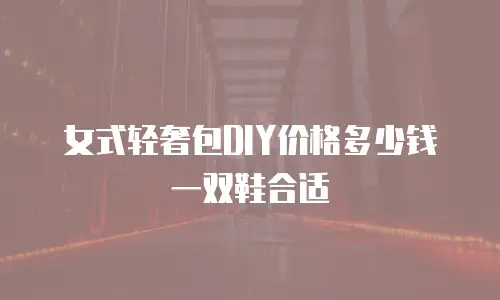 女式轻奢包DIY价格多少钱一双鞋合适