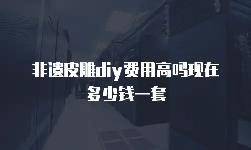 非遗皮雕diy费用高吗现在多少钱一套