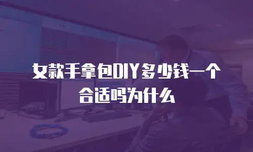 女款手拿包DIY多少钱一个合适吗为什么
