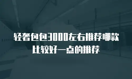 轻奢包包3000左右推荐哪款比较好一点的推荐