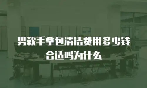 男款手拿包清洁费用多少钱合适吗为什么