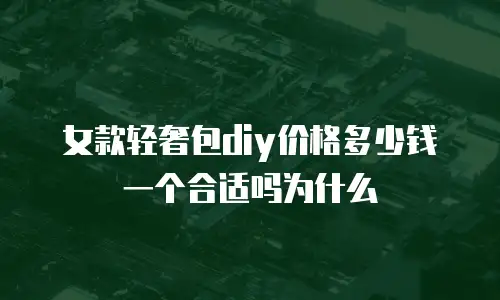 女款轻奢包diy价格多少钱一个合适吗为什么