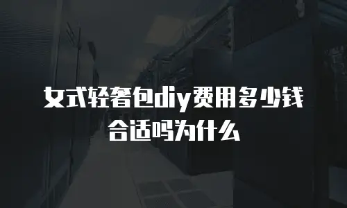 女式轻奢包diy费用多少钱合适吗为什么