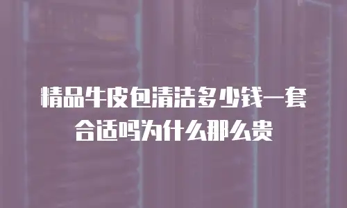 精品牛皮包清洁多少钱一套合适吗为什么那么贵