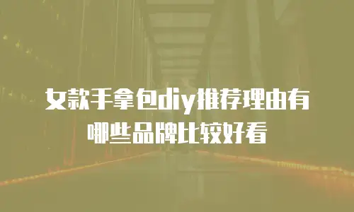 女款手拿包diy推荐理由有哪些品牌比较好看