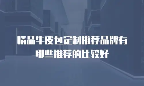 精品牛皮包定制推荐品牌有哪些推荐的比较好