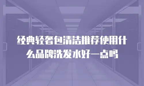 经典轻奢包清洁推荐使用什么品牌洗发水好一点吗