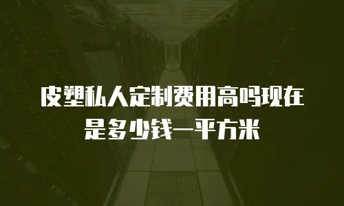 皮塑私人定制费用高吗现在是多少钱一平方米