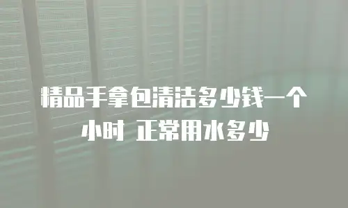 精品手拿包清洁多少钱一个小时 正常用水多少