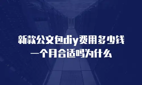 新款公文包diy费用多少钱一个月合适吗为什么