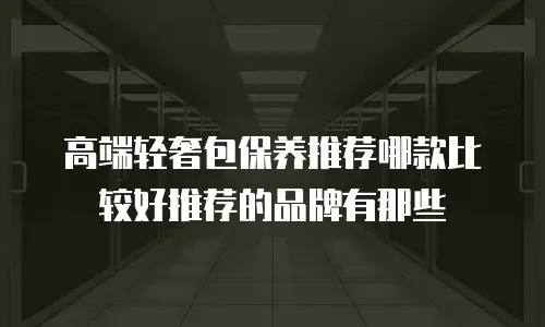 高端轻奢包保养推荐哪款比较好推荐的品牌有那些