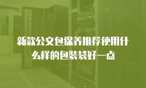新款公文包保养推荐使用什么样的包装袋好一点