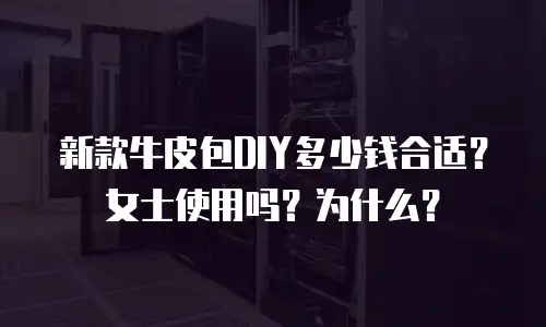 新款牛皮包DIY多少钱合适？女士使用吗？为什么？