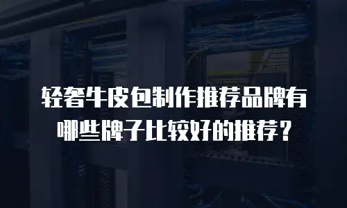 轻奢牛皮包制作推荐品牌有哪些牌子比较好的推荐？