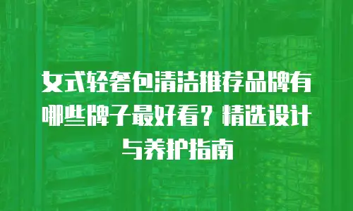 女式轻奢包清洁推荐品牌有哪些牌子最好看？精选设计与养护指南