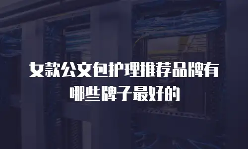 女款公文包护理推荐品牌有哪些牌子最好的