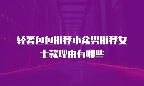 轻奢包包推荐小众男推荐女士款理由有哪些