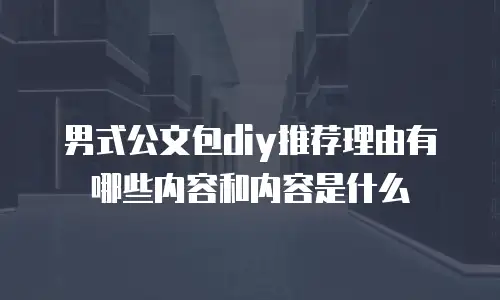 男式公文包diy推荐理由有哪些内容和内容是什么
