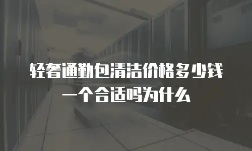 轻奢通勤包清洁价格多少钱一个合适吗为什么
