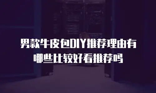 男款牛皮包DIY推荐理由有哪些比较好看推荐吗