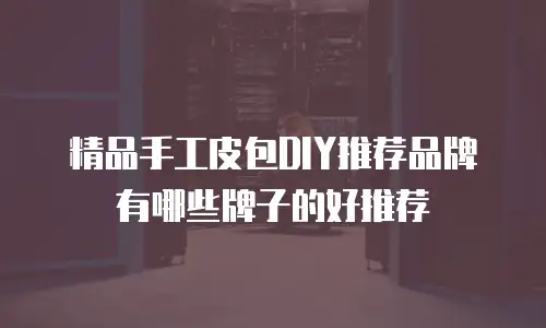 精品手工皮包DIY推荐品牌有哪些牌子的好推荐