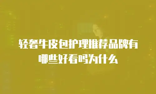 轻奢牛皮包护理推荐品牌有哪些好看吗为什么