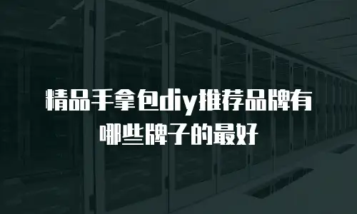 精品手拿包diy推荐品牌有哪些牌子的最好