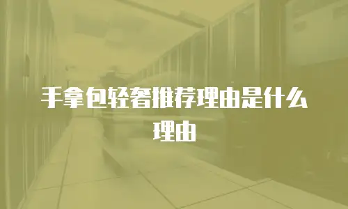 手拿包轻奢推荐理由是什么理由