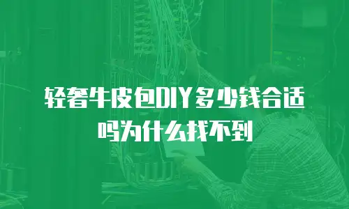 轻奢牛皮包DIY多少钱合适吗为什么找不到