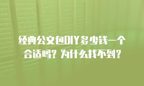 经典公文包DIY多少钱一个合适吗？为什么找不到？