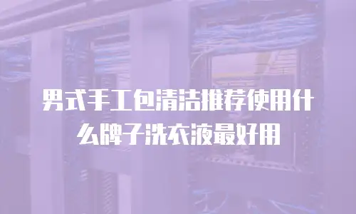 男式手工包清洁推荐使用什么牌子洗衣液最好用