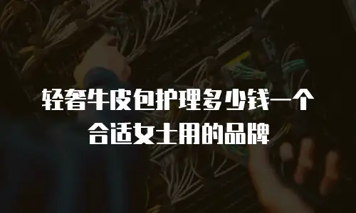 轻奢牛皮包护理多少钱一个合适女士用的品牌