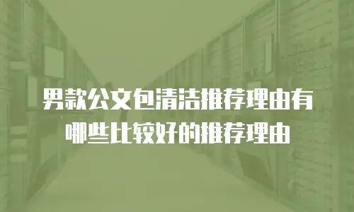 男款公文包清洁推荐理由有哪些比较好的推荐理由