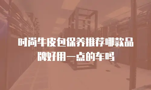 时尚牛皮包保养推荐哪款品牌好用一点的车吗
