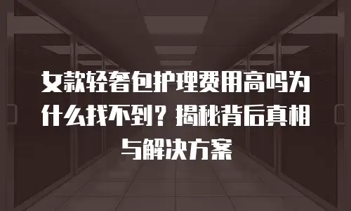 女款轻奢包护理费用高吗为什么找不到？揭秘背后真相与解决方案
