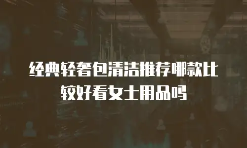 经典轻奢包清洁推荐哪款比较好看女士用品吗