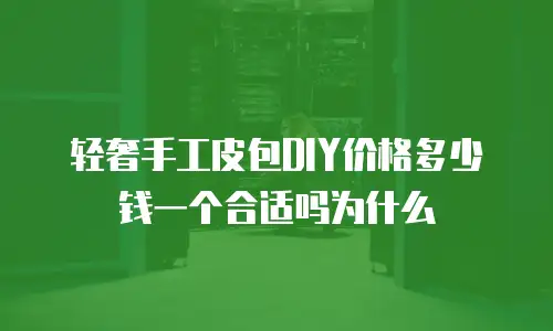 轻奢手工皮包DIY价格多少钱一个合适吗为什么