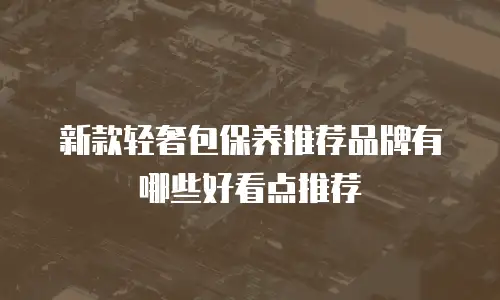新款轻奢包保养推荐品牌有哪些好看点推荐