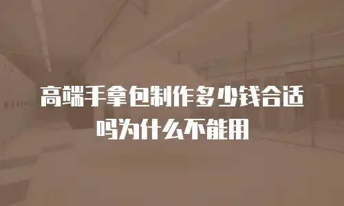 高端手拿包制作多少钱合适吗为什么不能用