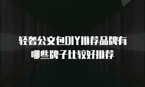 轻奢公文包DIY推荐品牌有哪些牌子比较好推荐