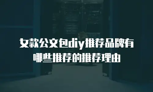 女款公文包diy推荐品牌有哪些推荐的推荐理由