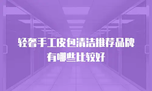轻奢手工皮包清洁推荐品牌有哪些比较好