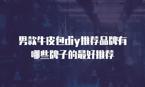男款牛皮包diy推荐品牌有哪些牌子的最好推荐