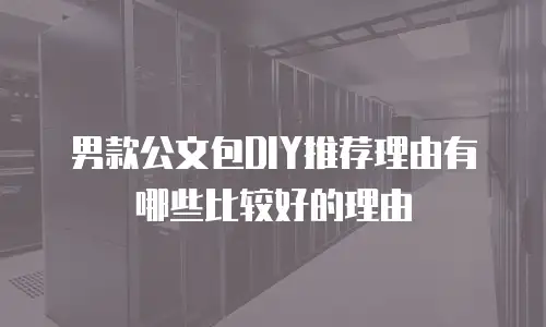 男款公文包DIY推荐理由有哪些比较好的理由