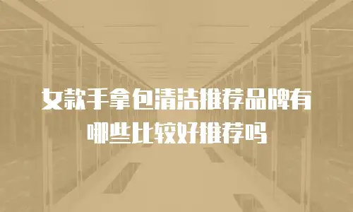 女款手拿包清洁推荐品牌有哪些比较好推荐吗