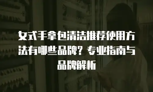 女式手拿包清洁推荐使用方法有哪些品牌？专业指南与品牌解析