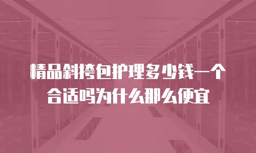精品斜挎包护理多少钱一个合适吗为什么那么便宜
