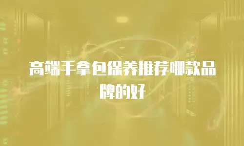 高端手拿包保养推荐哪款品牌的好